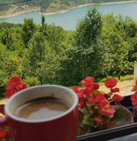Zapis - Zavojsko Jezero Pirot